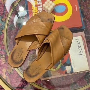 Everlane Chestnut Sandals